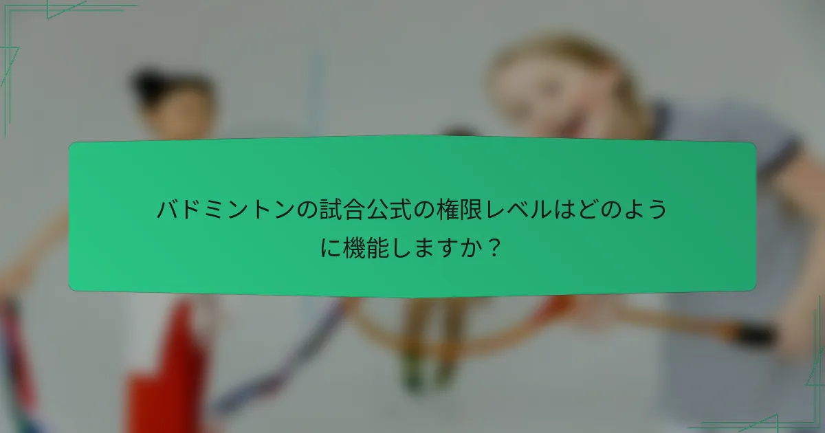 バドミントンの試合公式の権限レベルはどのように機能しますか？