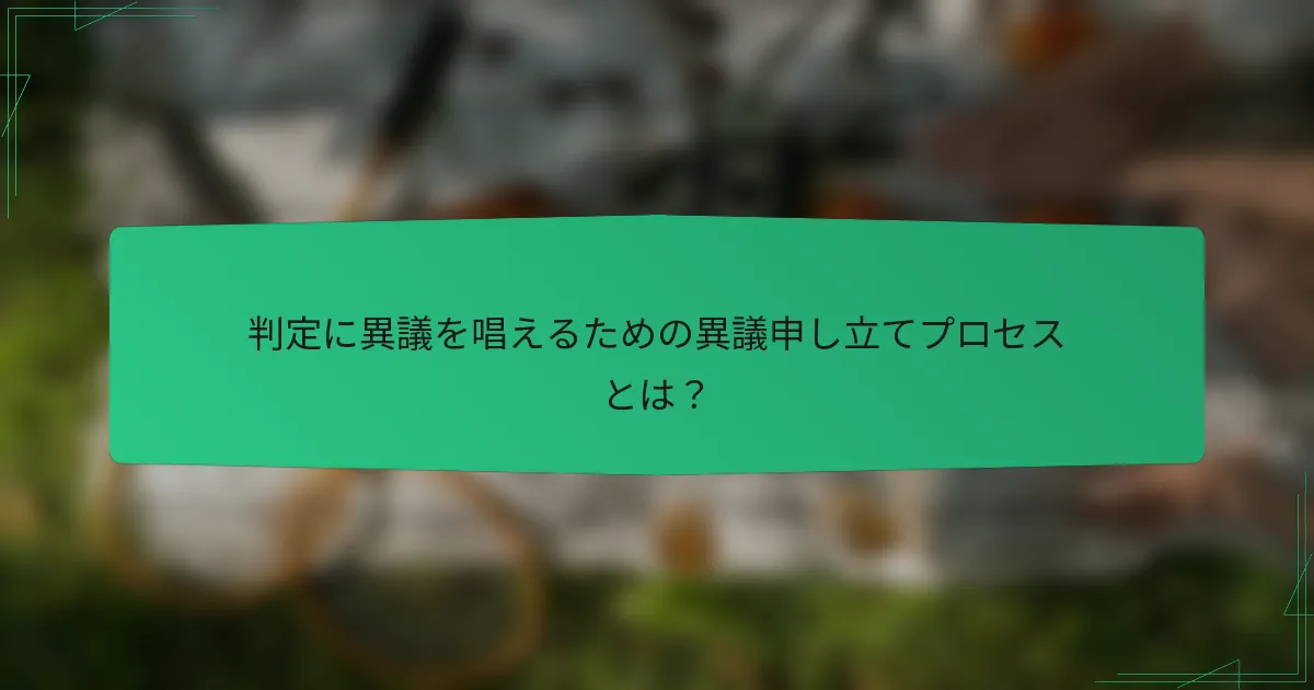 判定に異議を唱えるための異議申し立てプロセスとは？